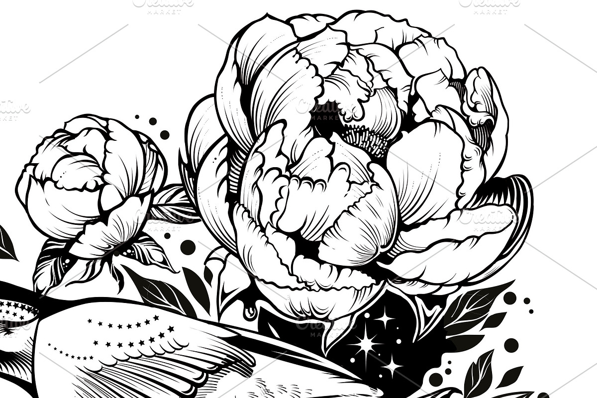 Kingfisher illustration. Vector Bird, an Animal Illustration by Tettygreen (Photo 3 of 3)