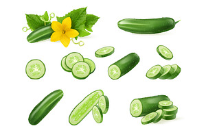 Realistic cucumber. 3d cucumbers, a Food Illustration by Stock-Smart-Start