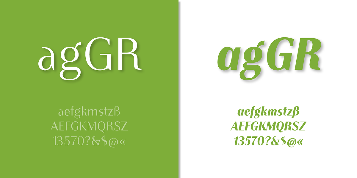 Instance PRO, a Sans Serif Font by preussTYPE (Photo 6 of 9)