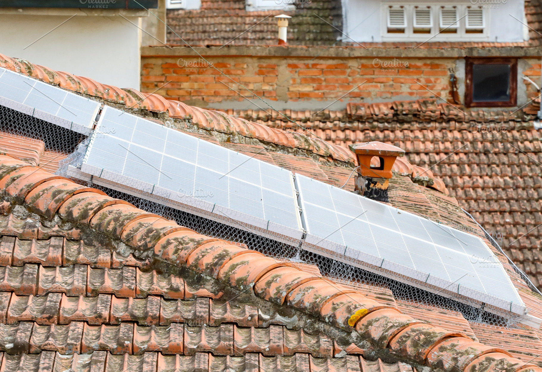 Solar panels with bird protection net on a tiled roof, an Architecture Photo by Antonio Gravante Market