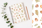 Cute Woodland Friends Collection, an Animal Illustration by MayaNavits (Thumbnail 6 of 12)
