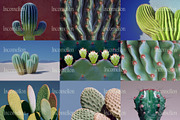 70 Aesthetic Cactus Stock Photos, a Nature Photo by Incomelion (Thumbnail 13 of 14)