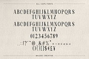 Naraswari - Vintage Serif Font, a Serif Font by Baleee (Thumbnail 12 of 14)