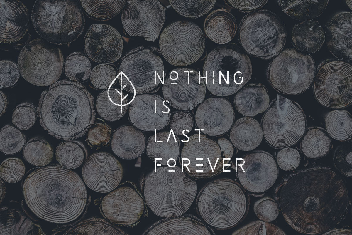 Minimalist Font Bundle • 80% OFF, a Serif Font by vuuuds (Photo 32 of 47)
