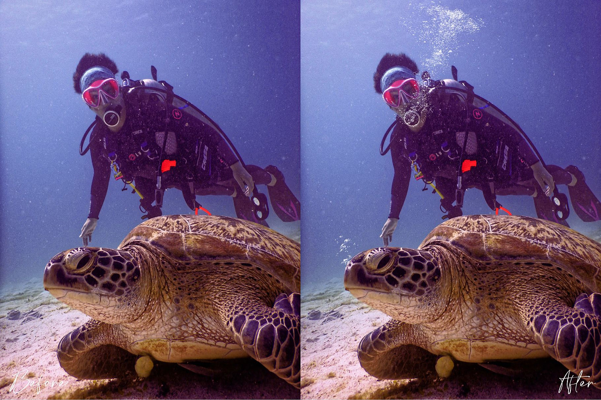 Underwater Bubble Photoshop Overlays, an Object Graphic by Prestige Photography (Photo 8 of 12)