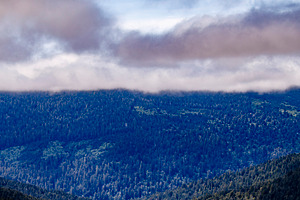 Coastal Fog Above the Green Hills, a Nature Photo by Jillian Butolph