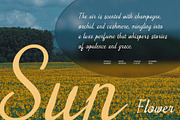 CS Royce – Script Font, a Script Font by Craft Supply Co. (Thumbnail 2 of 8)