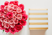 Pack 13 i styled stock containing minimalist, succulents, and candy, a Business Photo by SophieStockBoutique (Thumbnail 4 of 4)