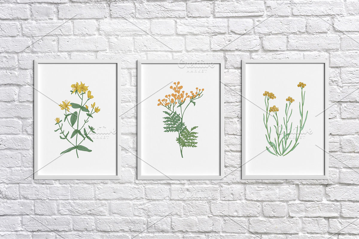 Wild flowers,herbs,herbaceous plants, a Texture Illustration by Good Studio (Photo 13 of 22)