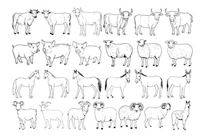 50 Farm Animals Procreate Stamps