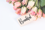 Vintage | Script Font, a Handwritten Font by Scratchones (Thumbnail 3 of 9)