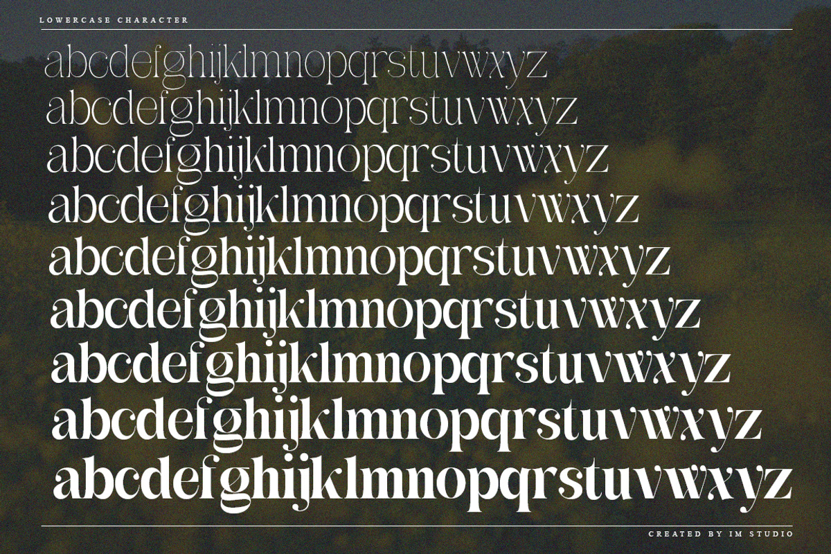 Awesome Gulgina Complete | 243 Fonts, a Serif Font by IM Studio (Photo 15 of 15)