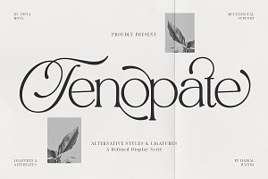 Tenopate, a Serif Font by Pista Mova