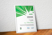 Certificate, a Stationery Template by Curve Design (Thumbnail 3 of 3)