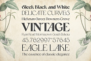 Aftersick - Display Font, a Serif Font by Prominent & Affluent (Thumbnail 10 of 10)