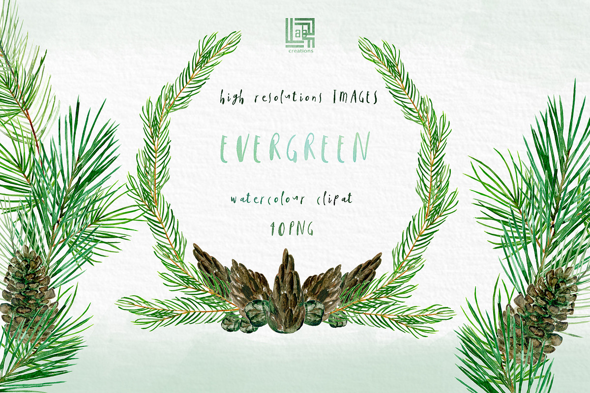 Pine. Watercolor clipart, an Illustration by LABFcreations (Photo 7 of 9)