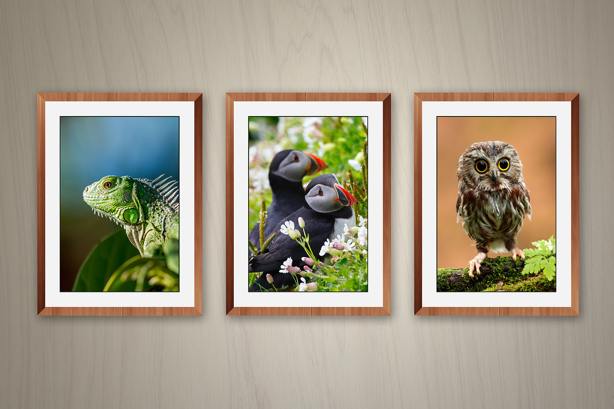 Wall Photo Mockups, a Print Template by Graphic_Art (Photo 5 of 7)