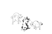 Funny Sketchy Cat Illustrations, a Graphic by Anastasiya Klempach (Thumbnail 9 of 10)