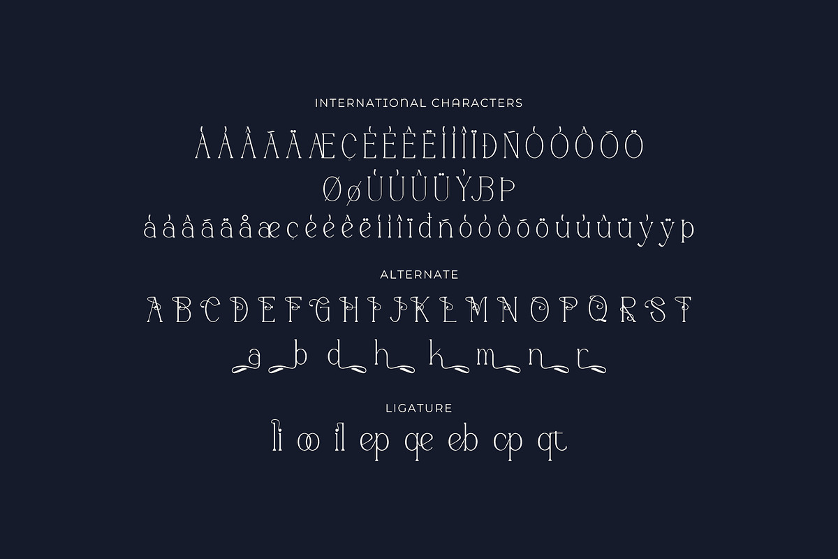 Moonlife - Serif Typeface Font, a Serif Font by Rishsketch (Photo 14 of 15)