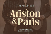 The Stegris Serif Family - 5 Weights, a Serif Font by Letterhend Studio (Thumbnail 5 of 9)