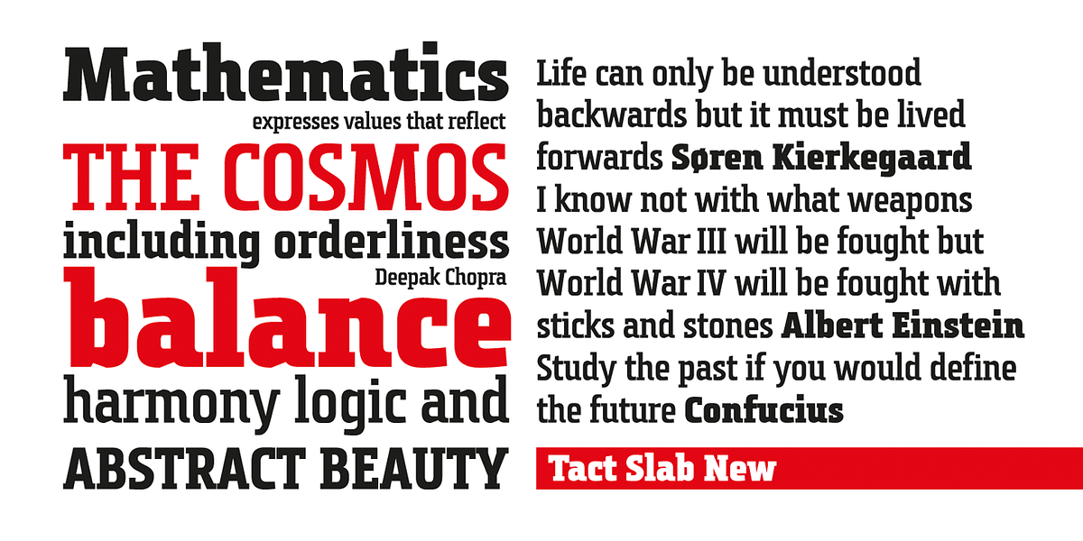 Tact Slab New, a Slab Serif Font by PESIC (Photo 4 of 7)