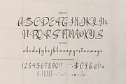 Artajliya | Handwritten Signature, a Script Font by Denustudios (Thumbnail 13 of 15)
