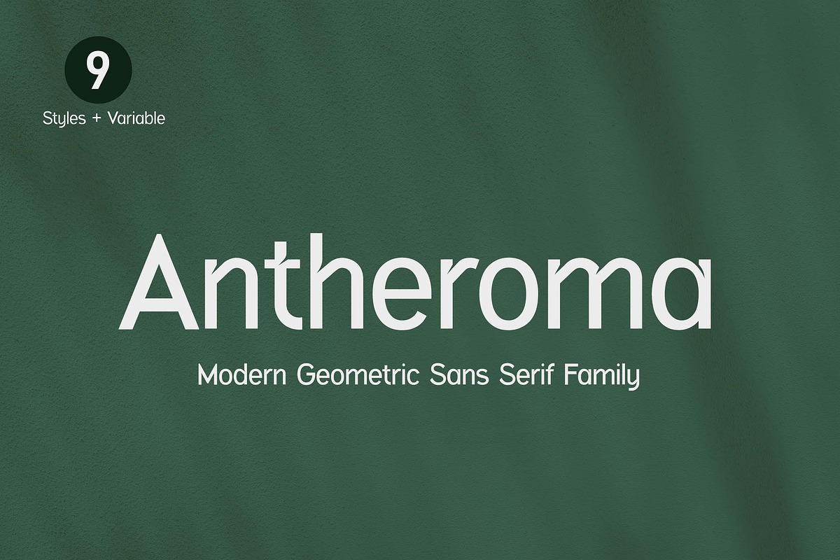 Antheroma Geometric Sans Serif Font, a Sans Serif Font by UICreative (Photo 1 of 12)