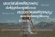 Flowers In December Font Duo, a Script Font by Creamy Script (Thumbnail 2 of 4)