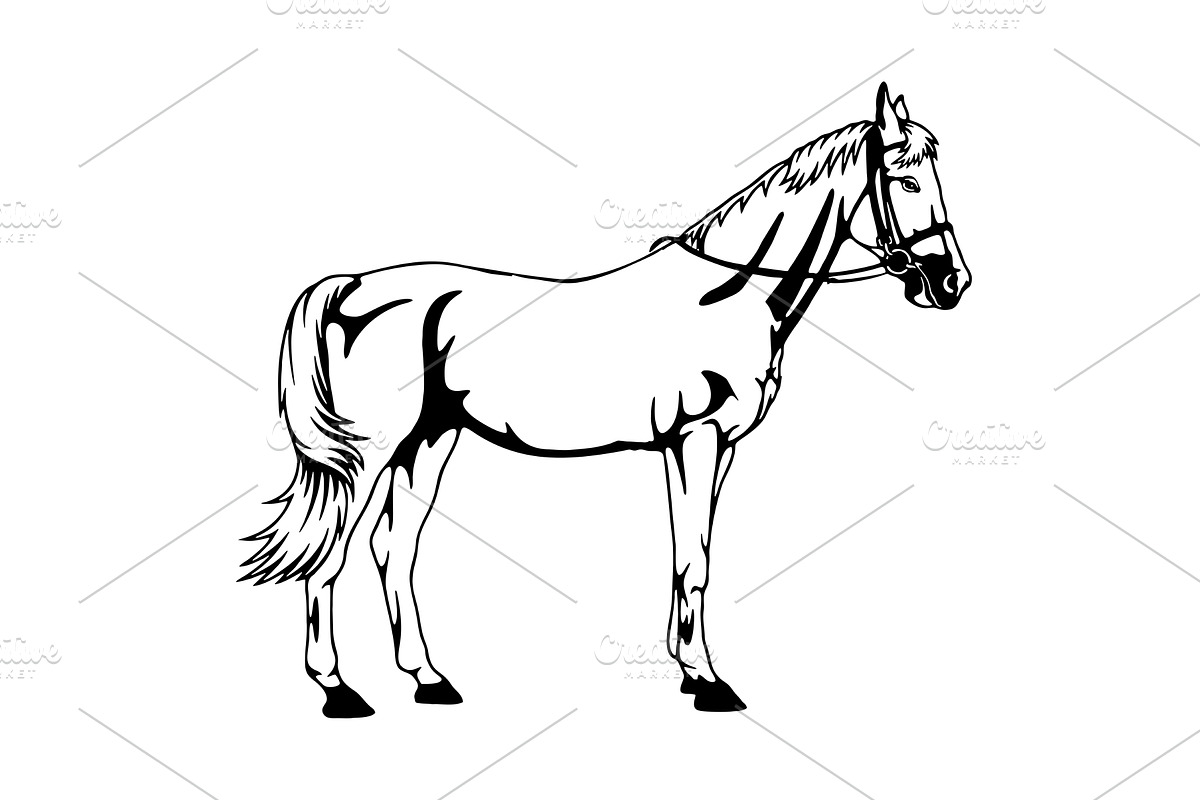 Silhouette horse icon, horse drawing, an Animal Illustration by Digital-Clipart