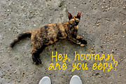 Raw Thoughts - Handwritten Font, a Handwritten Font by Artflorara (Thumbnail 5 of 11)