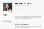 CV / Resume Template, a Resume Template by ARP Creation (Thumbnail 7 of 9)