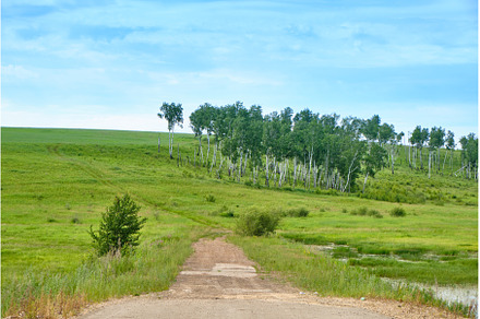 Green meadows of the Trans-Baikal, a Nature Photo by PhotoXab