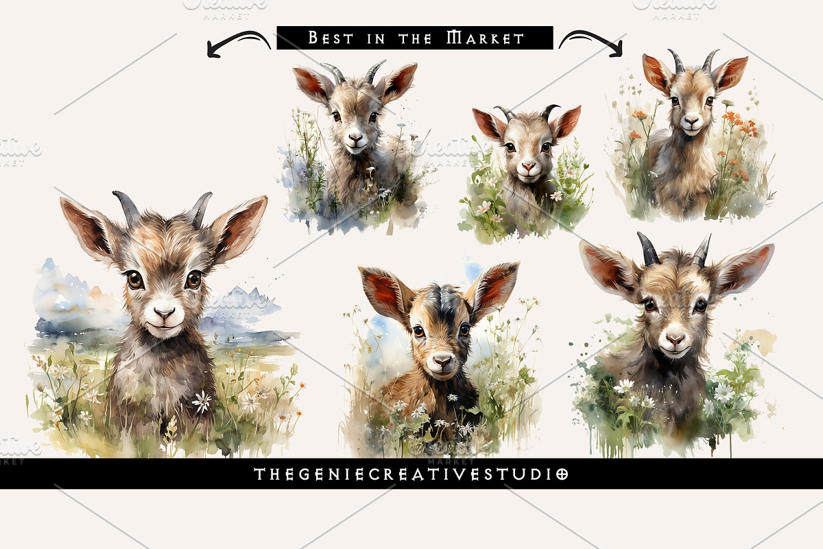 Watercolor PNG  Baby Goat Clipart, an Animal Illustration by Geniecreativestudio (Photo 5 of 9)