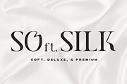 Alestyn - Aesthetic Modern Serif, a Serif Font by Pandeka Studio (Thumbnail 10 of 12)