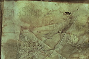36 ECO Dyed paper - Forest Floor, a Texture Graphic by LianaScrap (Thumbnail 16 of 19)