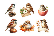 Autumn Sparrows Bird Clipart, an Illustration by Daily.Designs (Thumbnail 5 of 5)