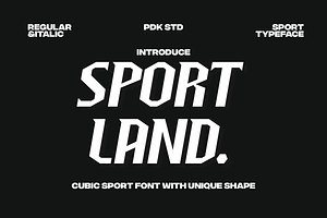 Sportland - Sport Race Font, a Sans Serif Font by Pandeka Studio