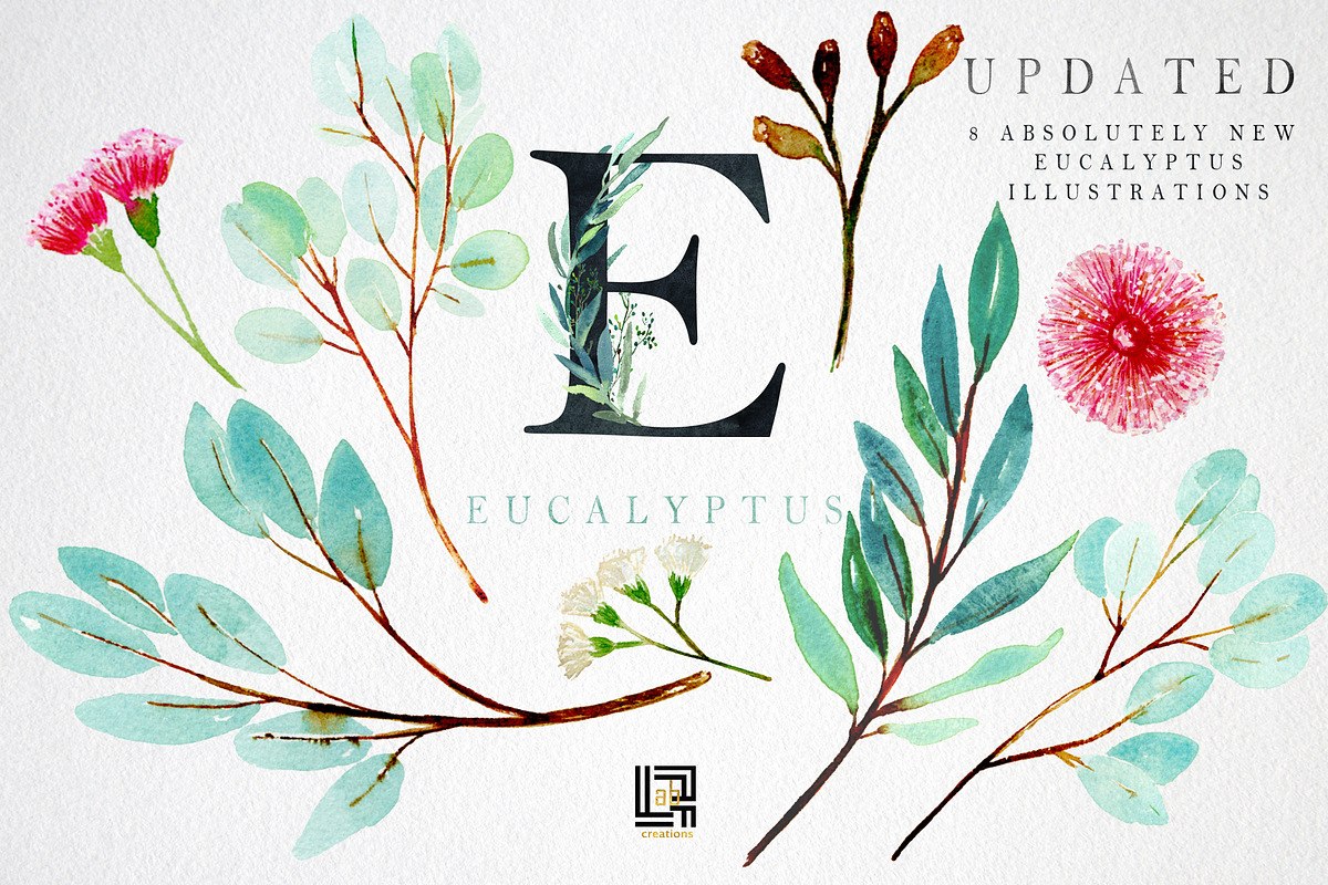 Eucalyptus Watercolor Greenery, a Healthcare Illustration by LABFcreations (Photo 9 of 11)