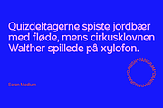 SK Seren, a Sans Serif Font by Salih Kizilkaya (Thumbnail 11 of 15)