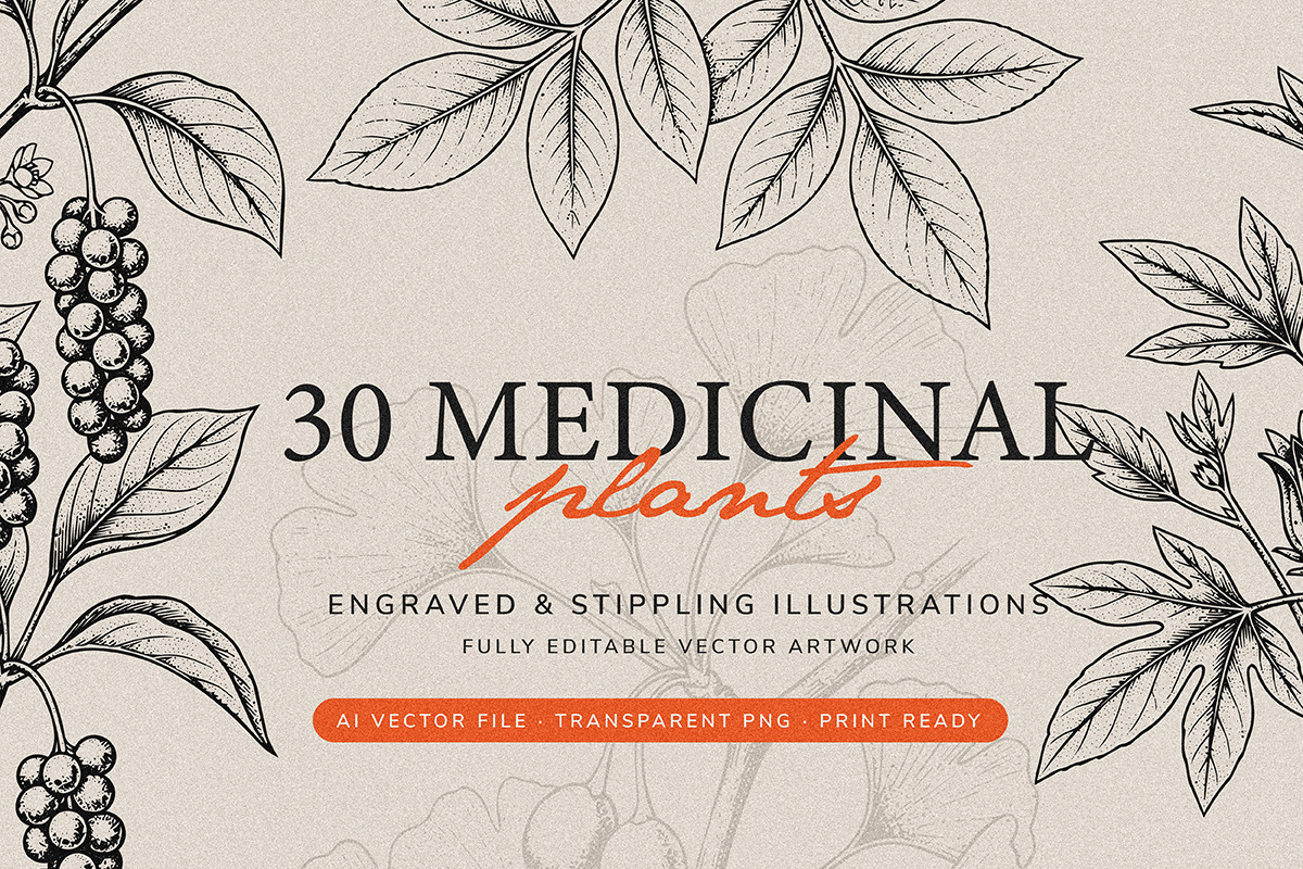 30 Medicinal Herbs & Plants, a Decorative Illustration by Gonez Studio (Photo 1 of 19)
