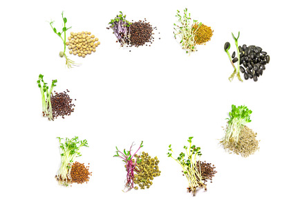 Collage of different microgreens on, a Food & Drink Photo by yanadjana