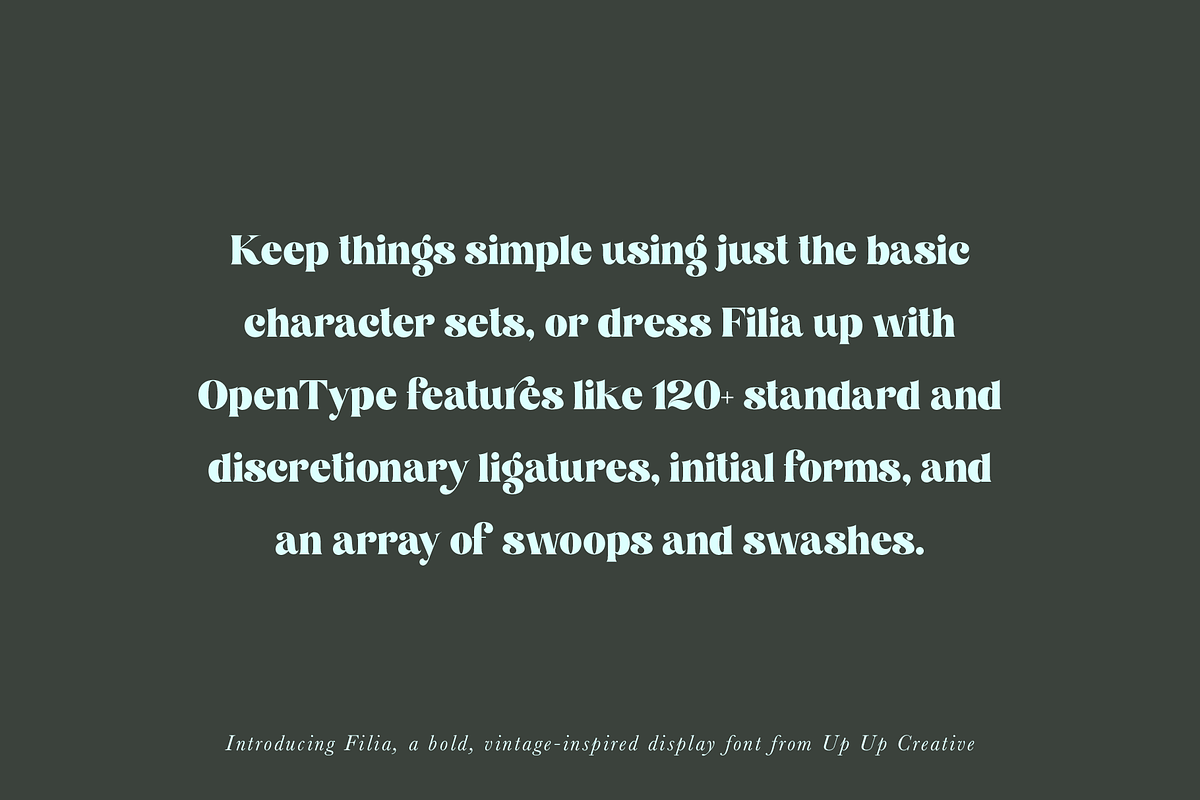 Filia Display Font preview 4