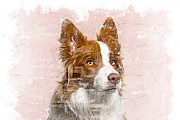 Painterly Photoshop Action, an Action Add-On by MRI STUDIO (Thumbnail 25 of 46)