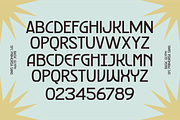SFC Primorsa Sans - 20 Fonts, a Sans Serif Font by Skilline Supply Co. (Thumbnail 4 of 13)