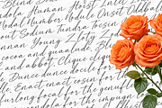 Maruka Castelio - Signature font, a Handwritten Font by Majelis Art (Thumbnail 2 of 7)