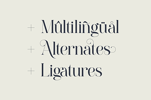 Paradizo - Elegant Serif Font