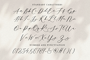 Anolia Mathew, a Script Font by artism_design (Thumbnail 2 of 7)