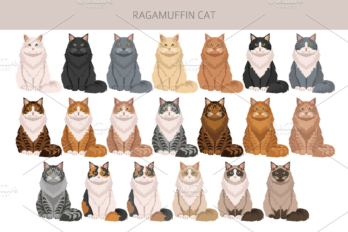 Ragamuffin cat clip art, an Animal Illustration by pet design shop (Photo 3 of 5)