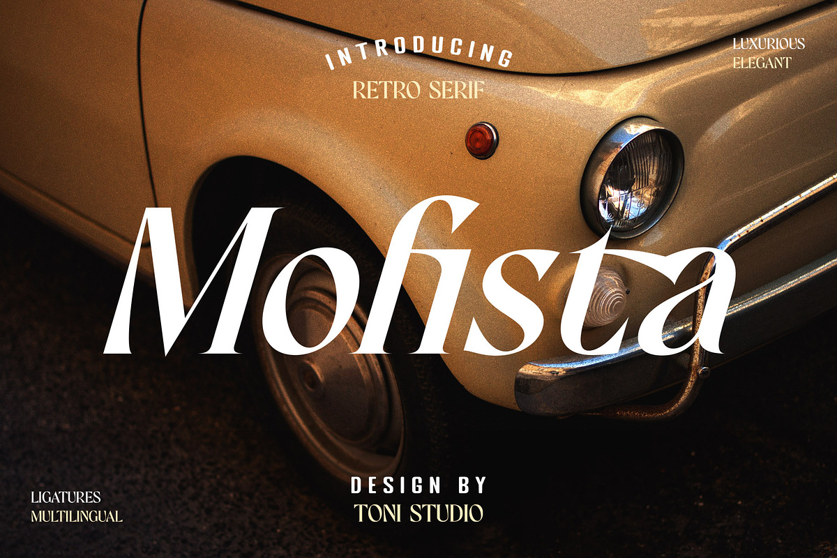 Beautiful Fonts Bundle, a Serif Font by ToniStudio (Photo 9 of 13)