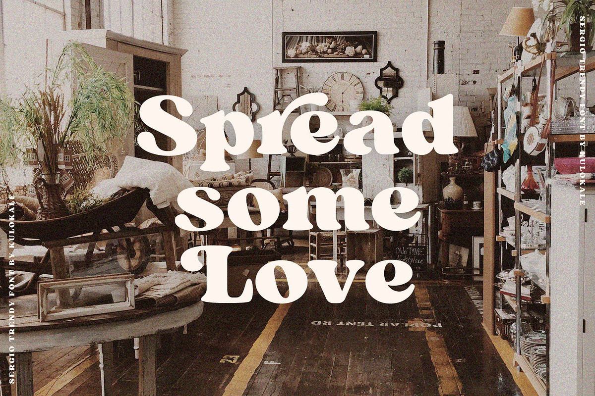 Sergio Trendy - Modern Serif Font preview 8